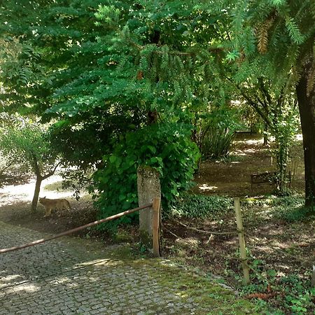 Cabana Da Oliveira Marco de Canavezes Esterno foto